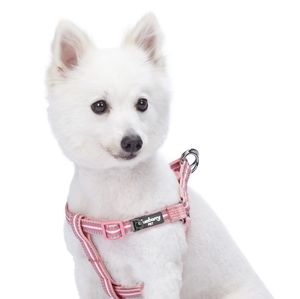 NWT Blueberry Pink & White Striped Reflective Dog Harness Size Large